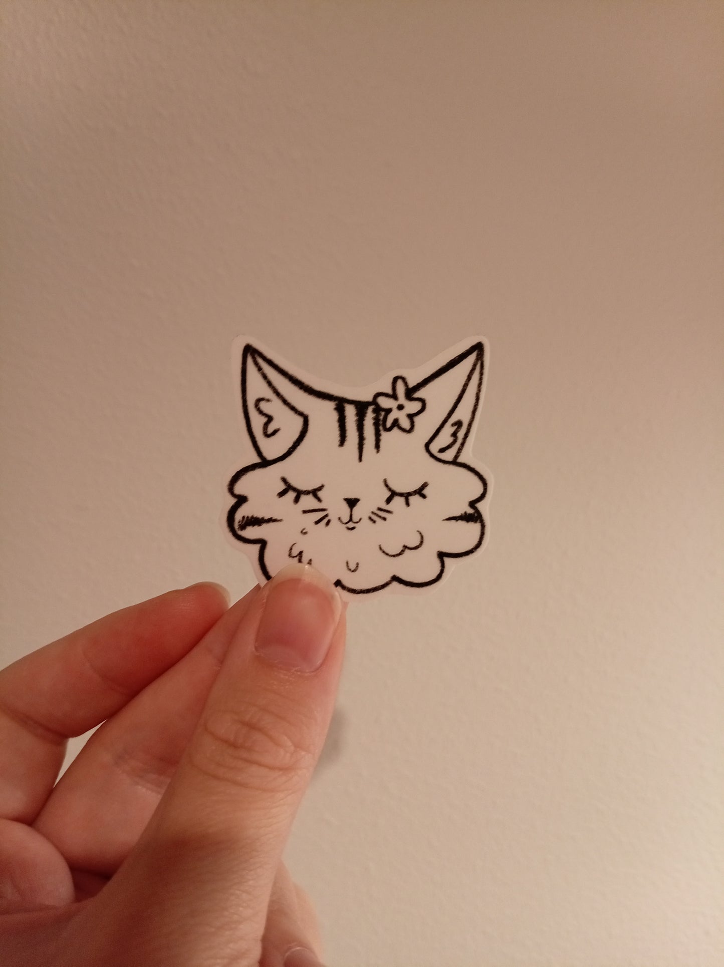Kissa tarra