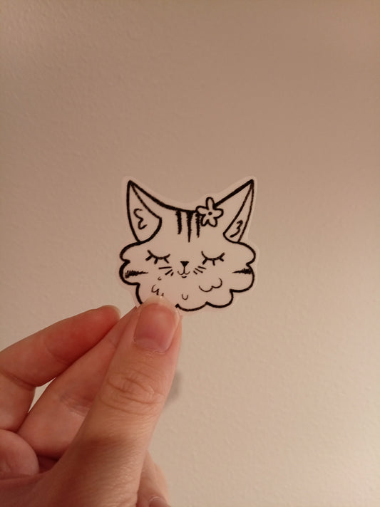 Kissa tarra